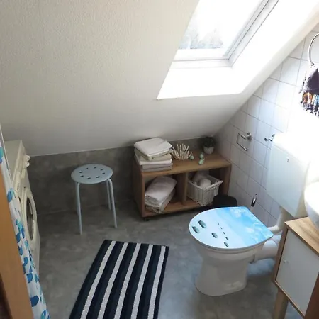 Neu! Sonnenschein Og Neuschoo