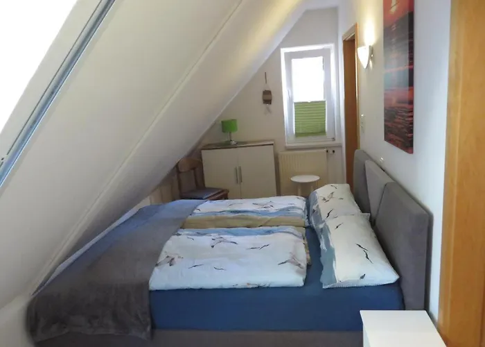 Neu! Sonnenschein Og