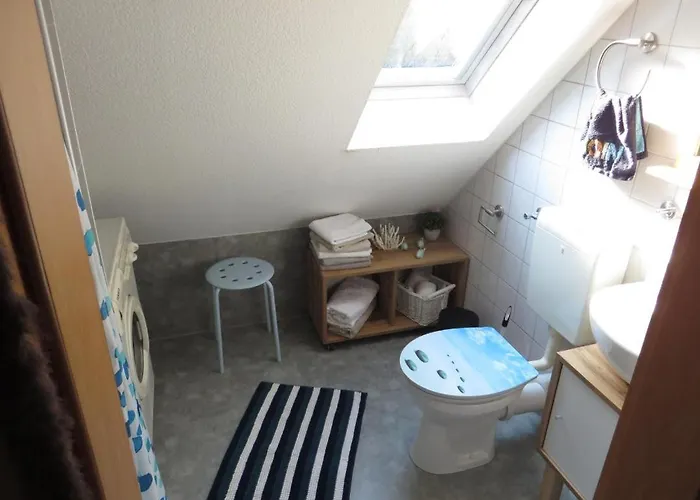 Neu! Sonnenschein Og Neuschoo